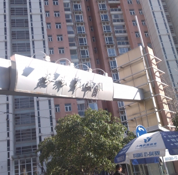 International Move from Shanghai to Pakistan