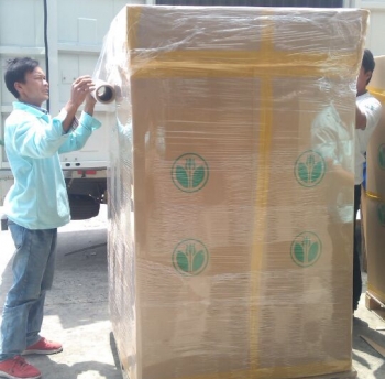 International Move from Shanghai to Singapore