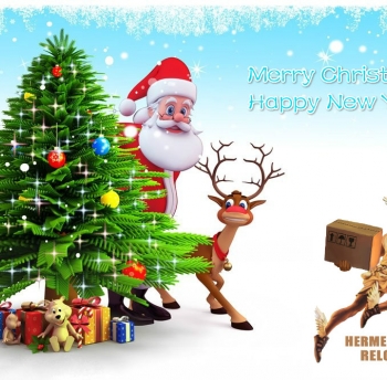 We wish you Merry Christmas!