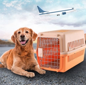 About Pet Relocation