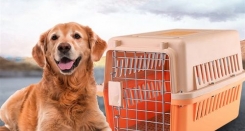 About Pet Relocation